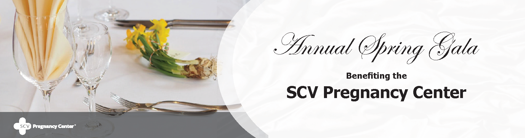 SCVPC Webpage Header NO DATE - STATIC IMAGE FOR YEAR ROUND (1600 x 420
